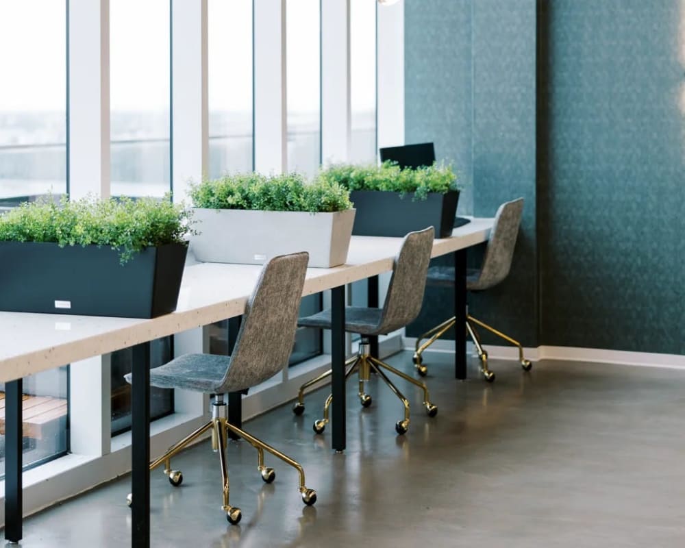 Lucid Private Offices West Plano Willow Bend