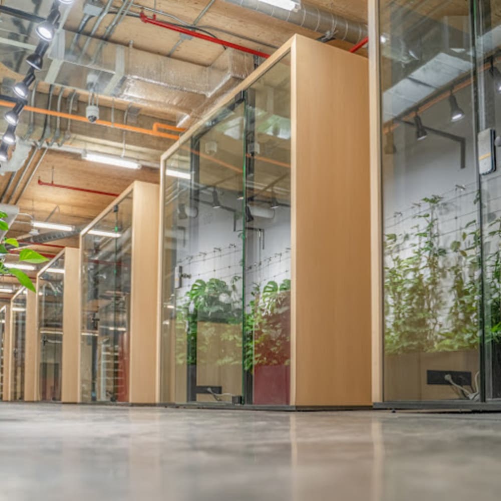 FRAMEWORK Greene Ave