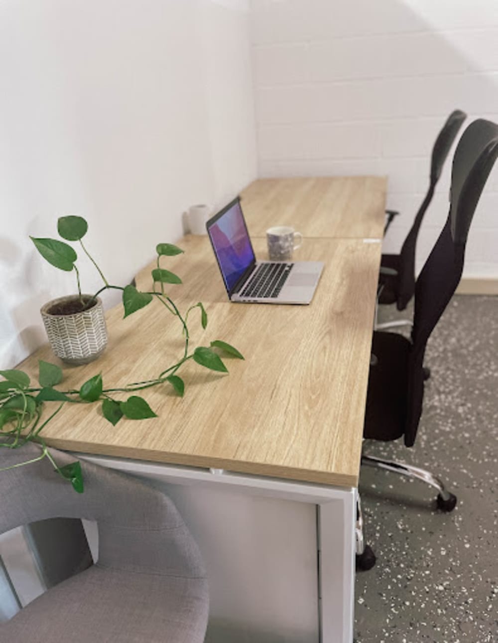 Cove Workspace 3 Short Street