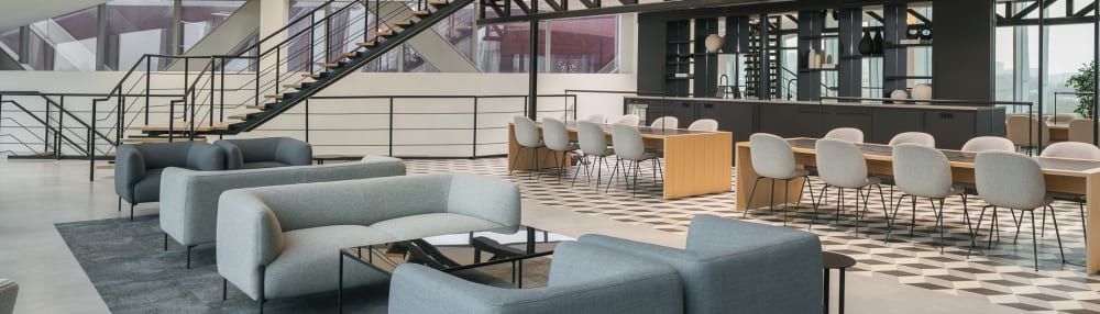 Argyll Nova North london