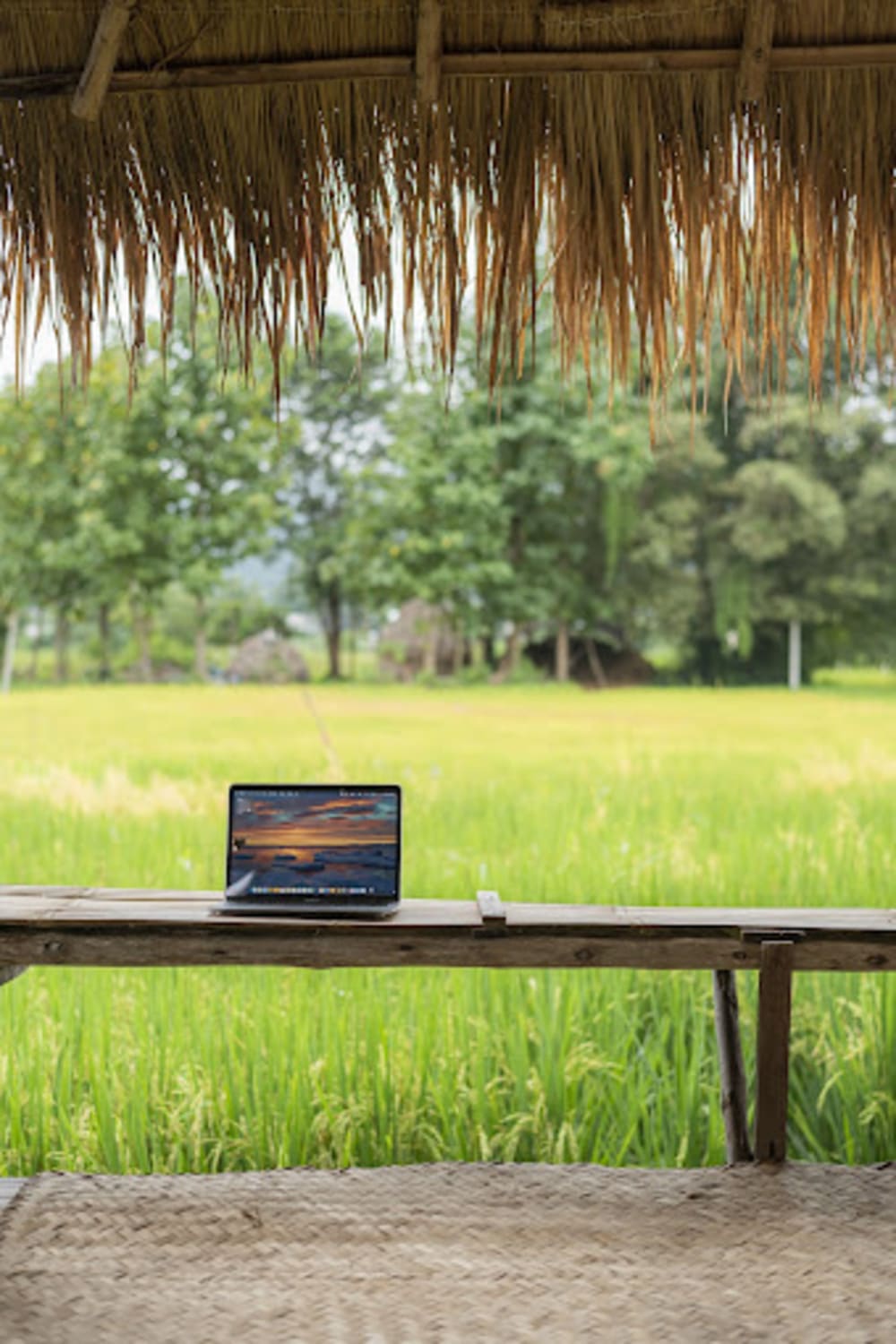 GreenSpace Co-Working