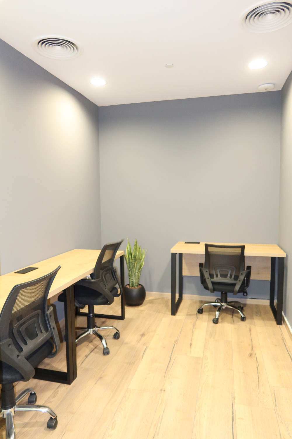 The Work Oasis - Sky Tower Branch