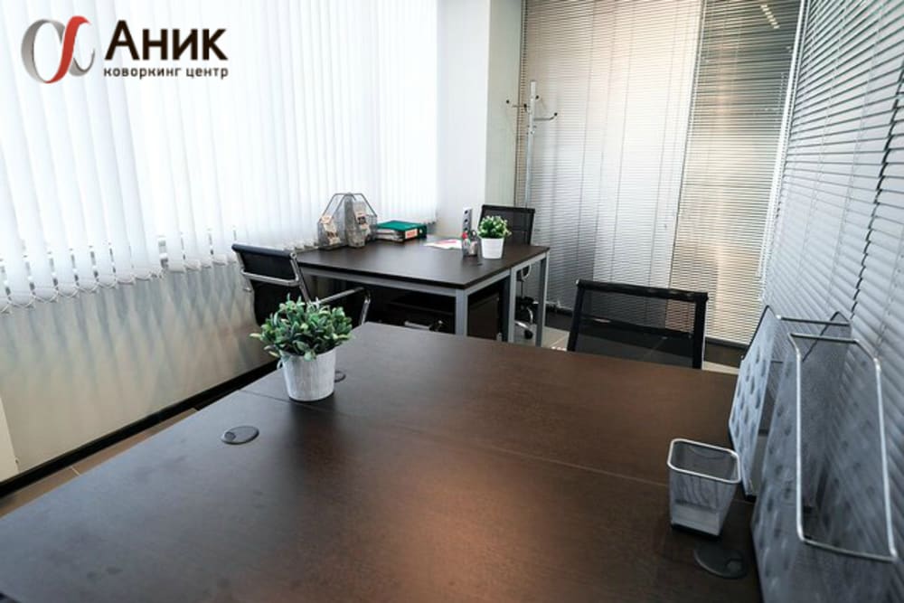 Anik Coworking Network-Krasnoarmeyskaya