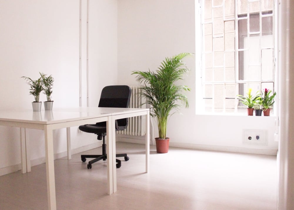 Campus Coworking- Milan