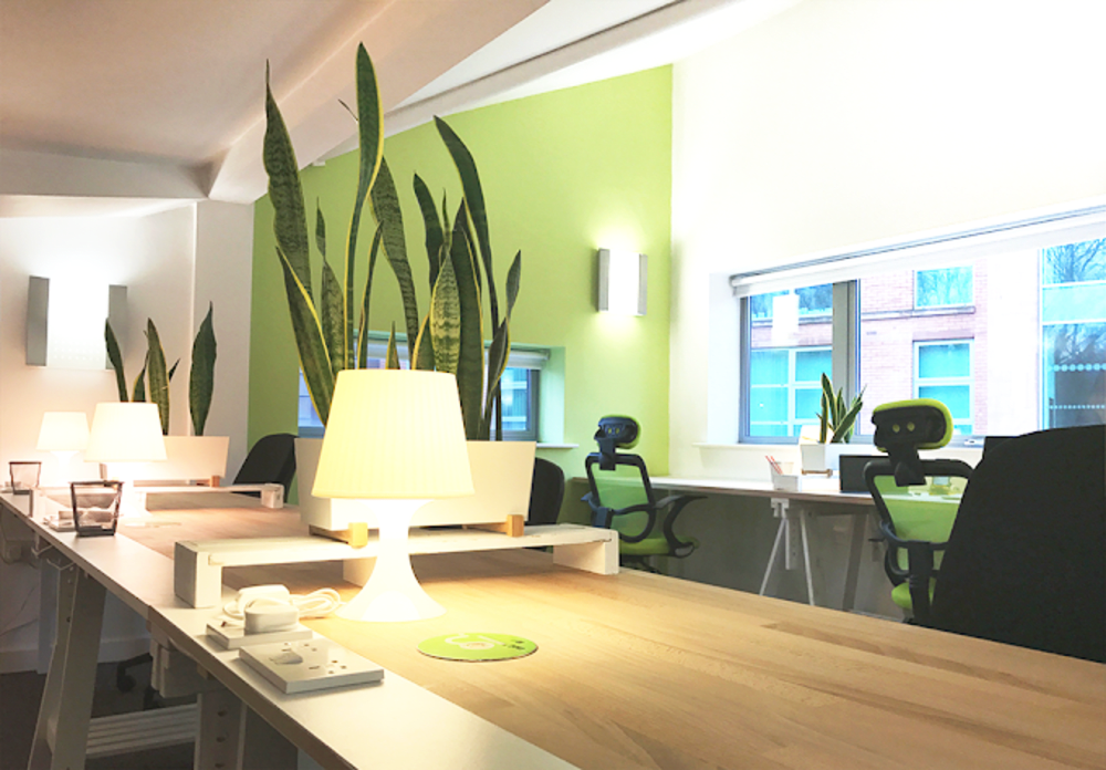 Desk Space 25 Mowbray