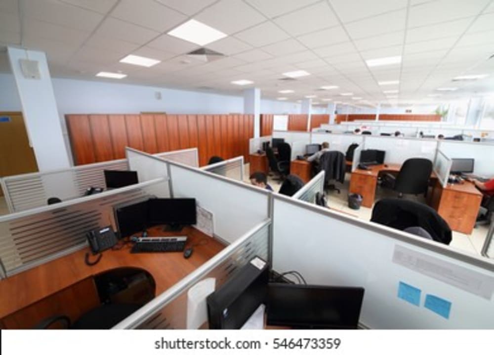 Dummy Business Account