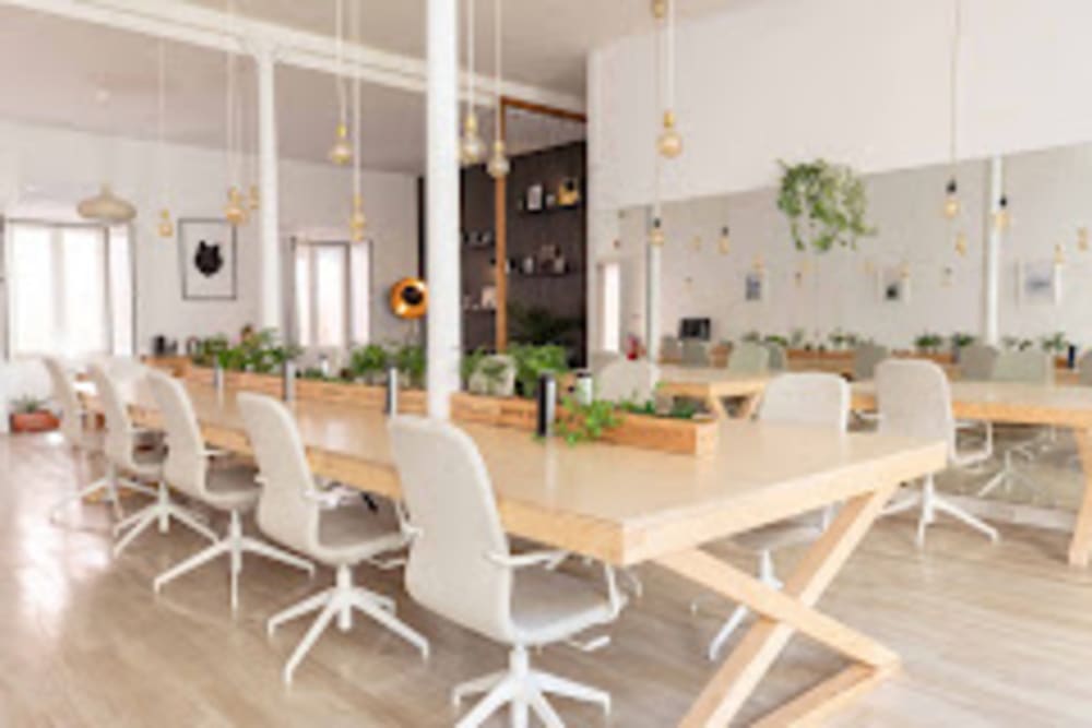 Lobo Cowork - Escola