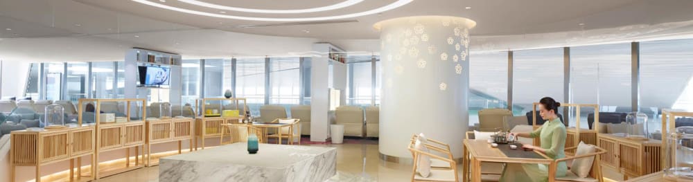 Plaza Premium Lounge China Southern First Domestic Departures Terminal 2