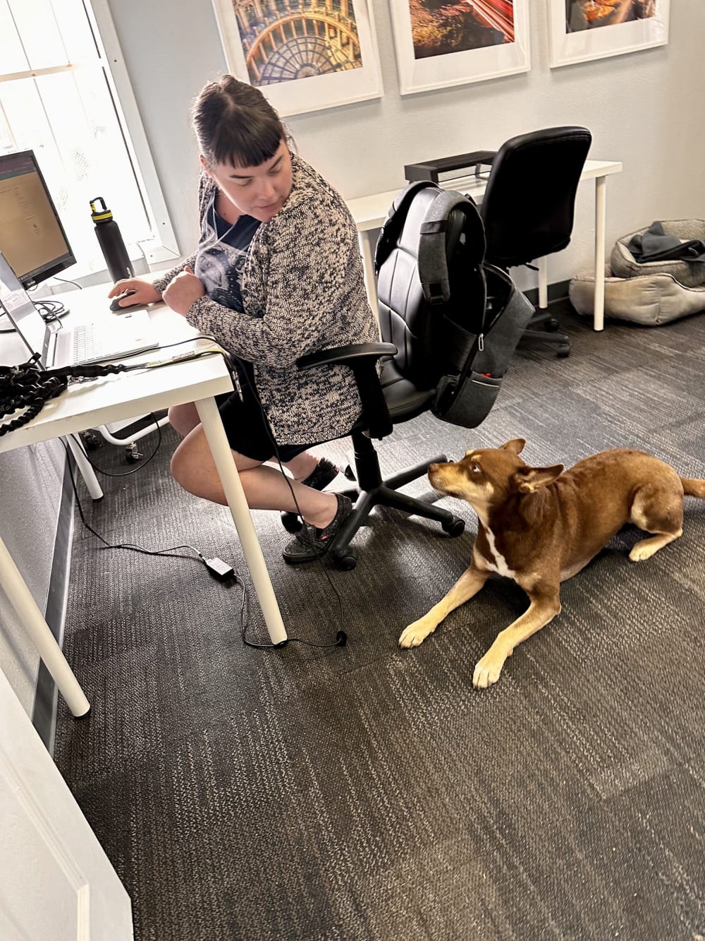 Work and Woof Austin