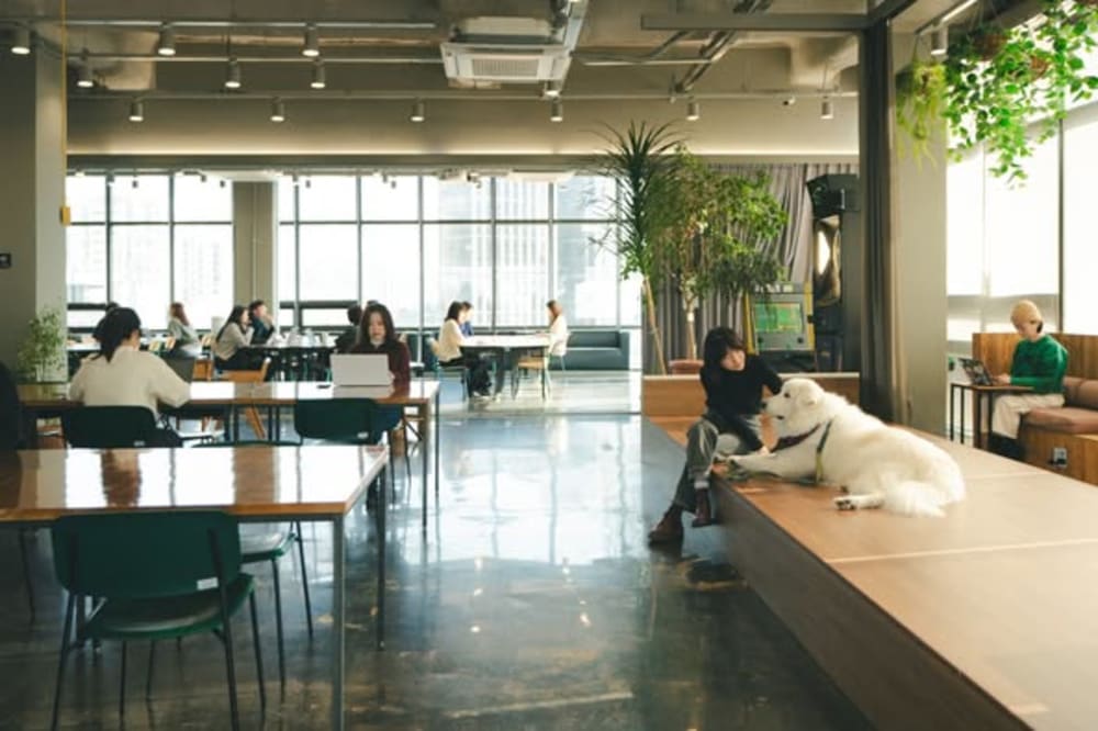 Hey Ground-Seongdong