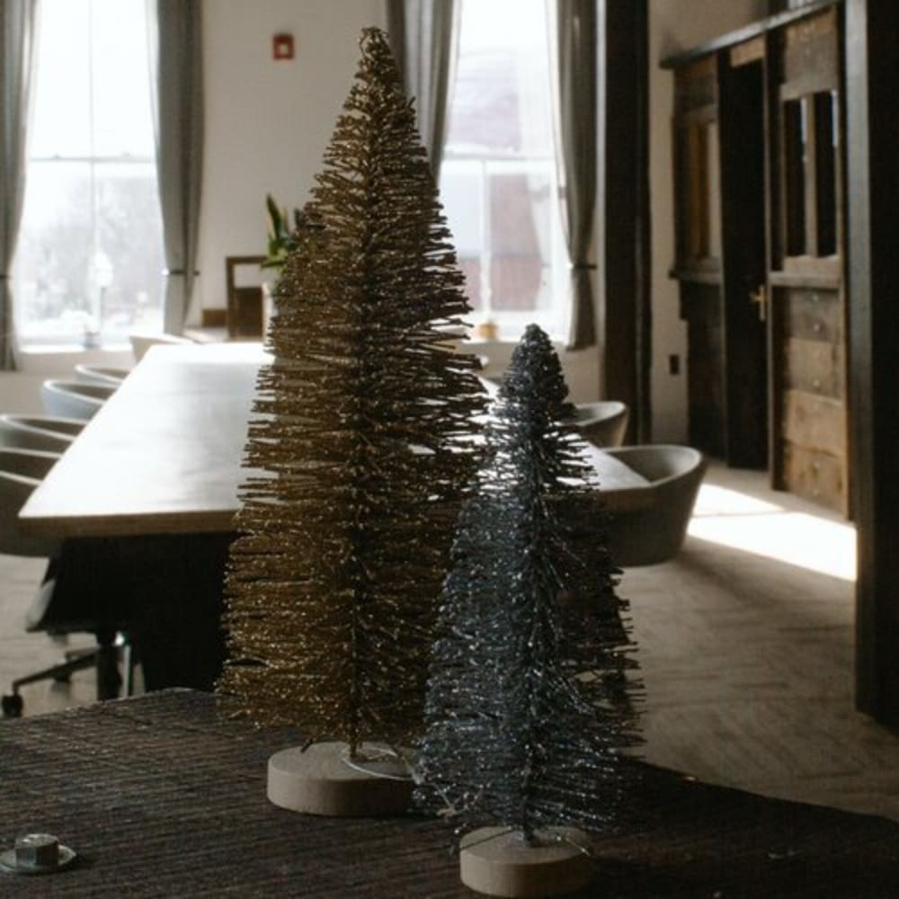 C-Space C-Street Springfield