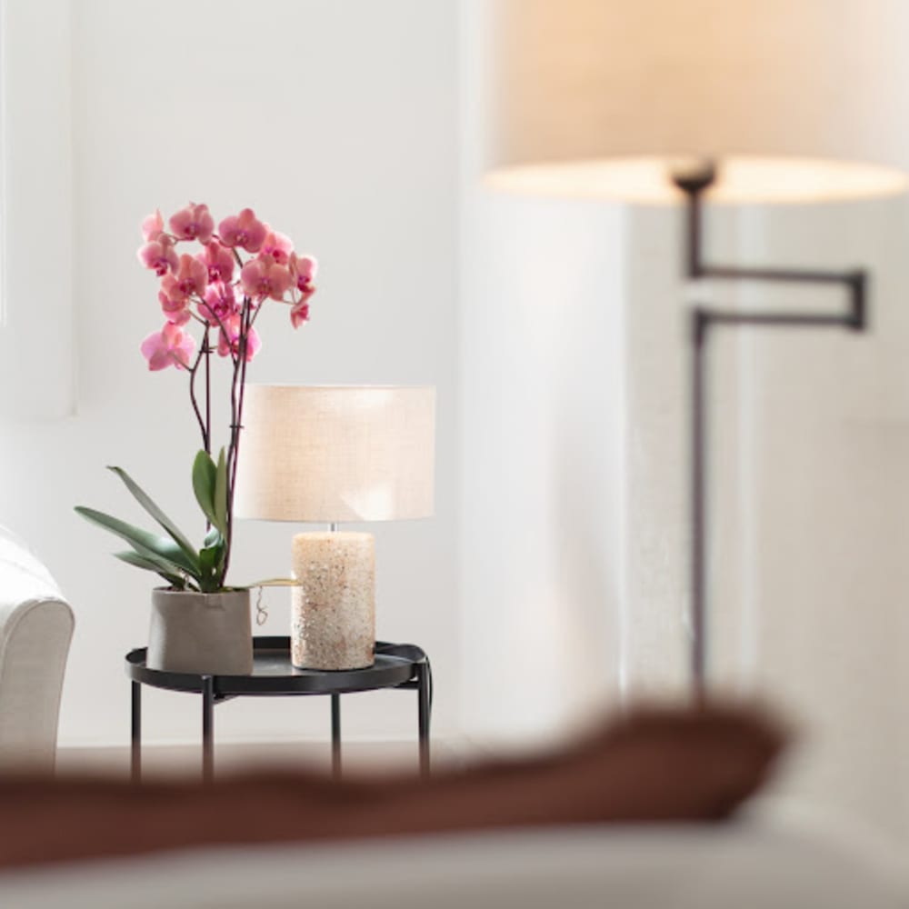 House of Self - Therapeutic Coworking