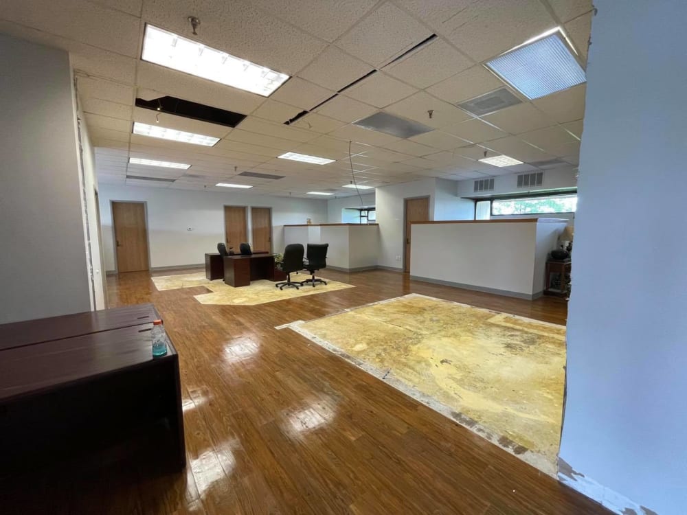 Deep Work Studios Florence