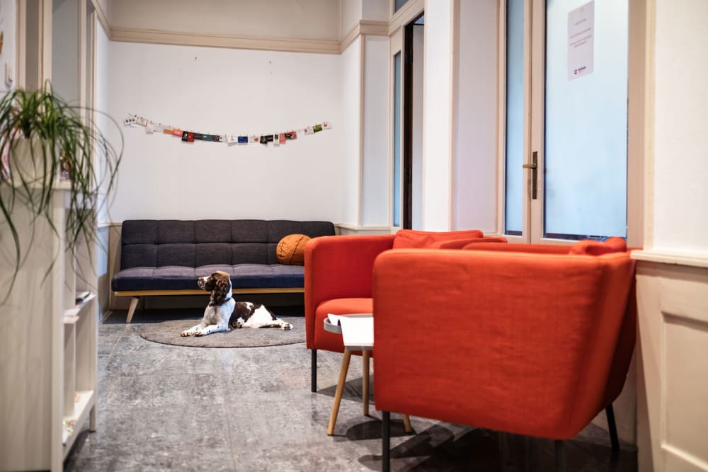 Panorama Koch Strasbourg