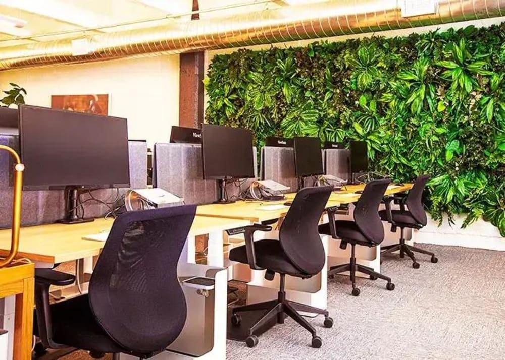 Serenia Coworking Spaces Noida
