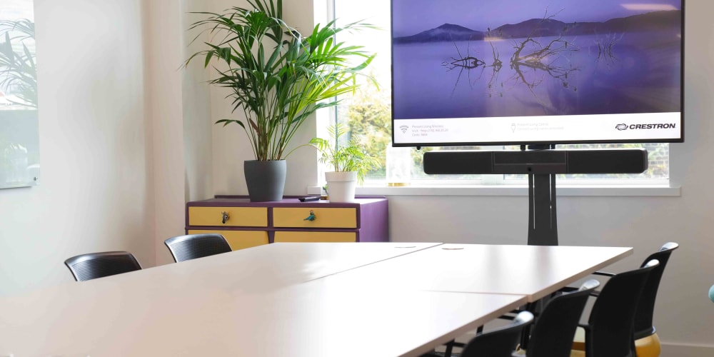 The Curious Lounge Reading