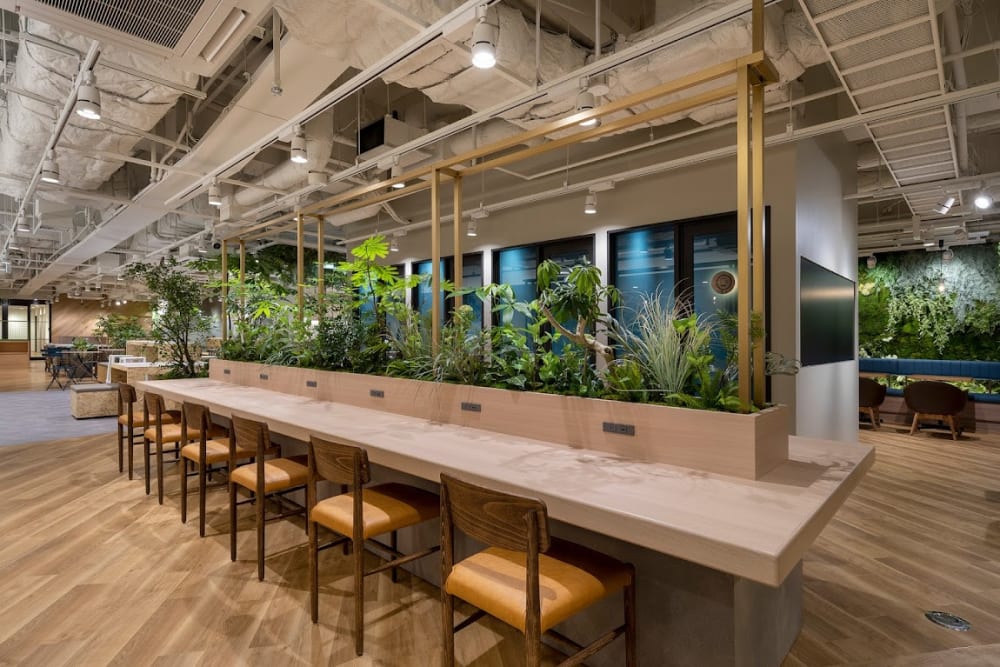 Shared office WORKING SWITCH ELK