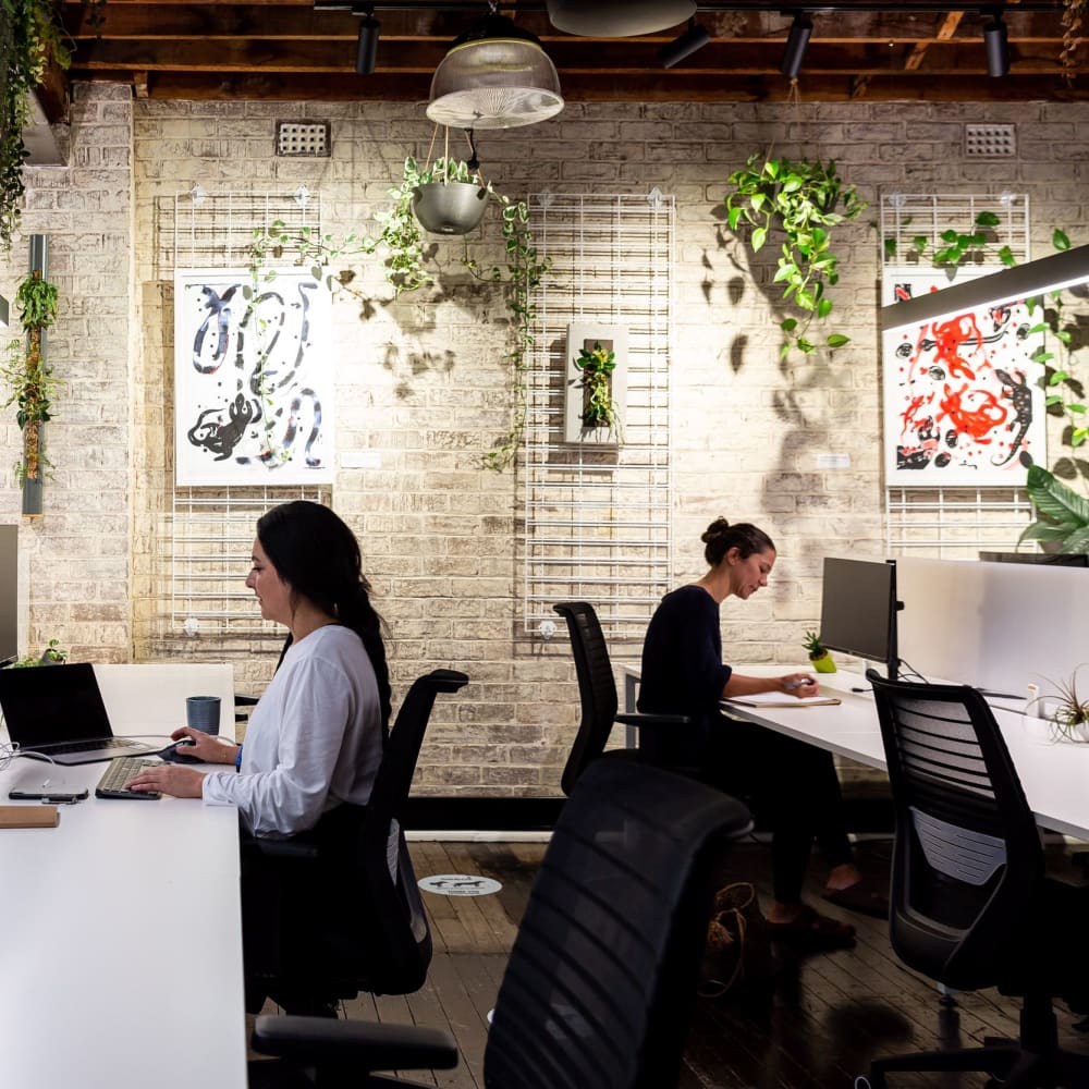 Seed Workspaces 137-141 Bridge Road