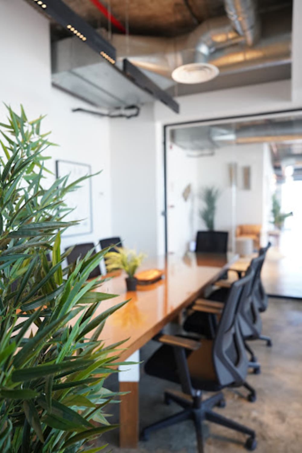 Shedoffices Coworking