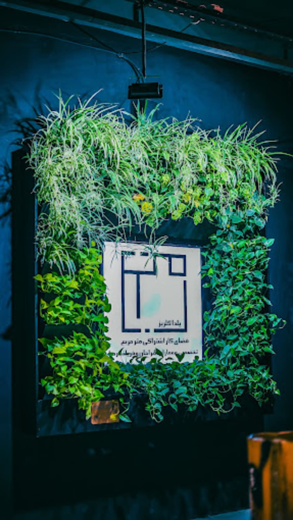 Metre Moraba Space -Kian