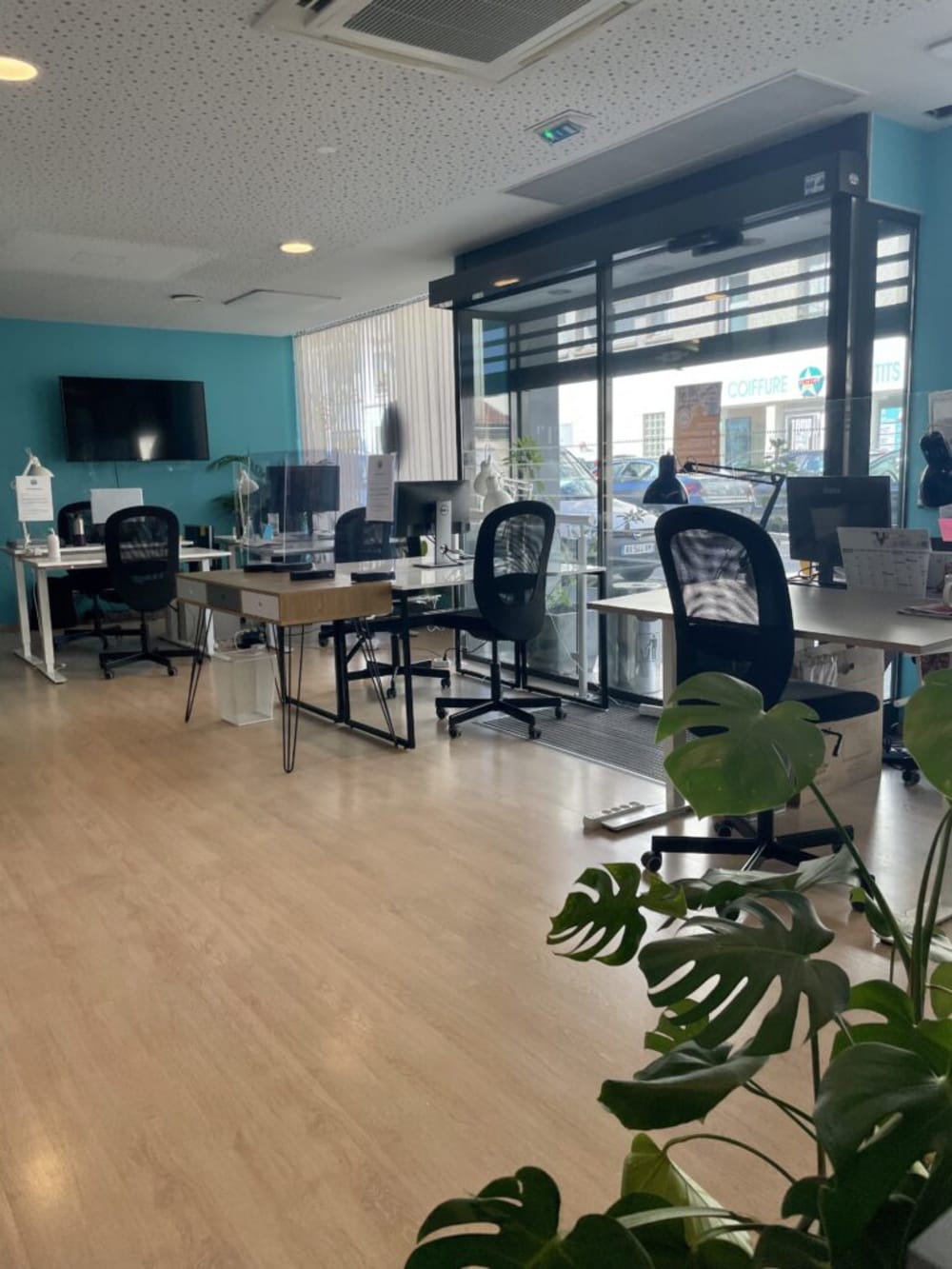 Wigi Bordeaux Wilson - 33200