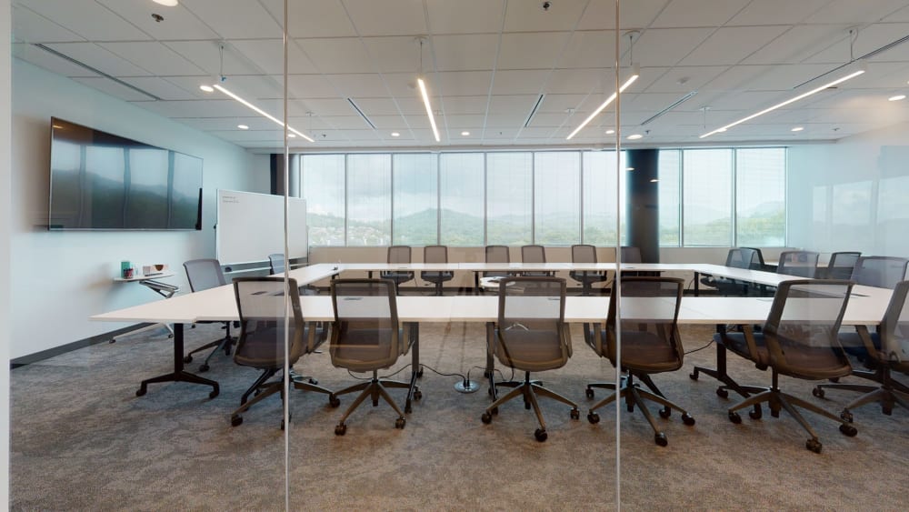 espaces Burton Hills