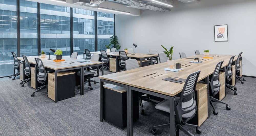 Space Penguin-447 Collins Street