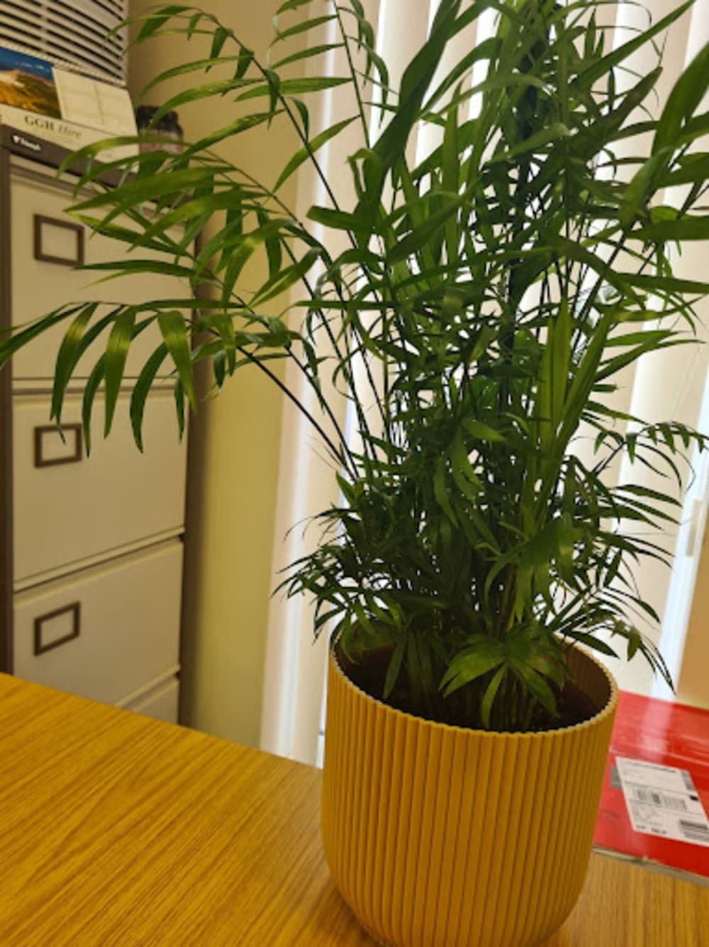 Ajay Business Centers London