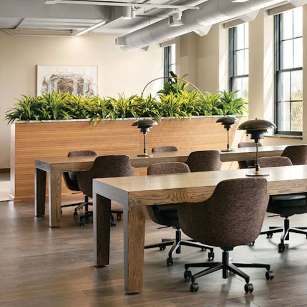 Life Time Work Newman