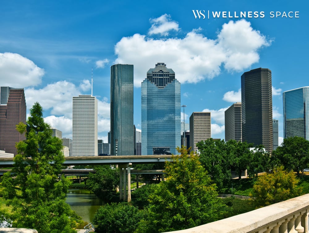 Houston Medical Shared Office Rentals by WellnessS