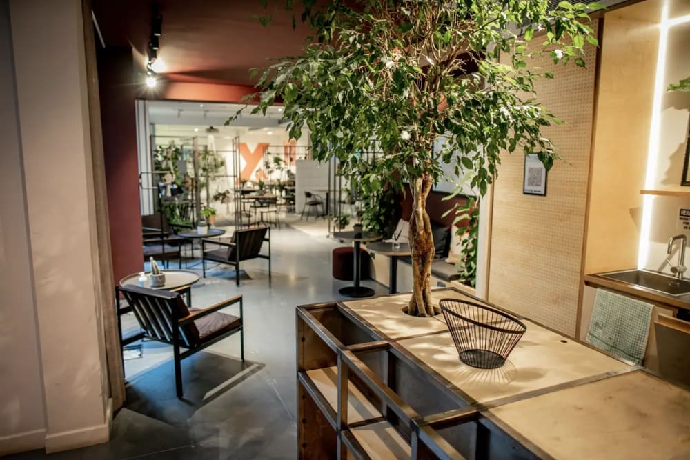 X+Why Limited london