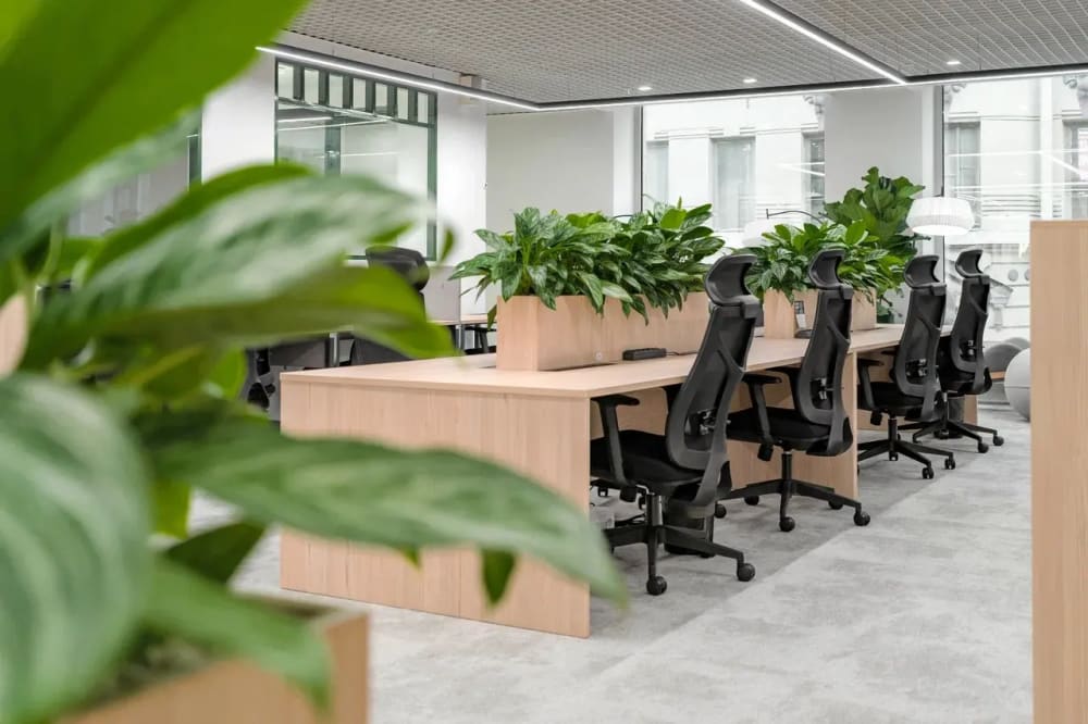 KAZANSKAYA Coworking