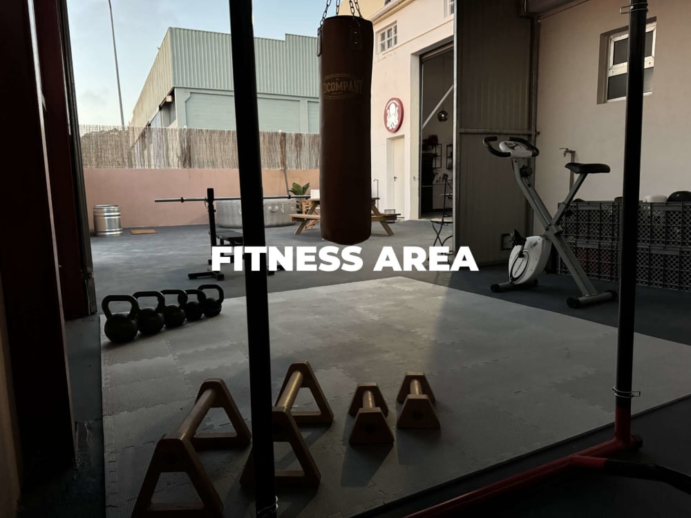 Octopus Concept Club