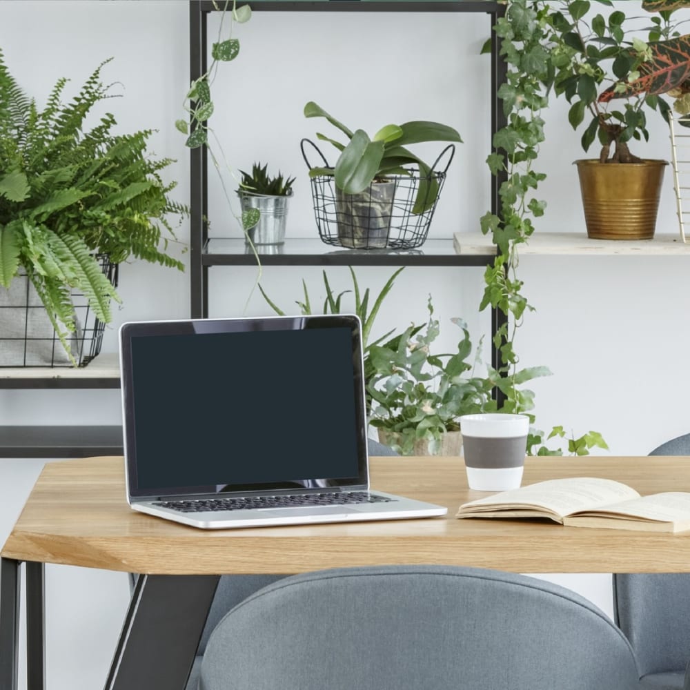 Seed Workspaces 137-141 Bridge Road