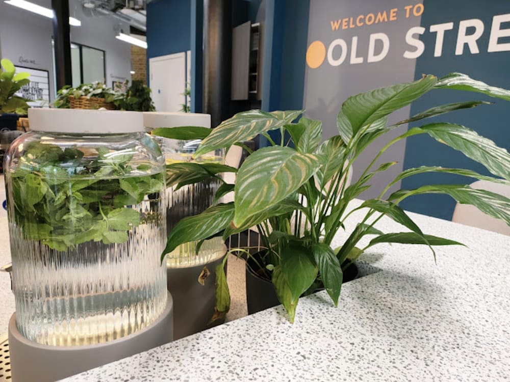 Work Life Rivington House