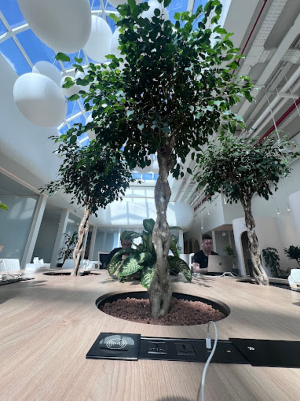 Cloud Spaces Circle Mall