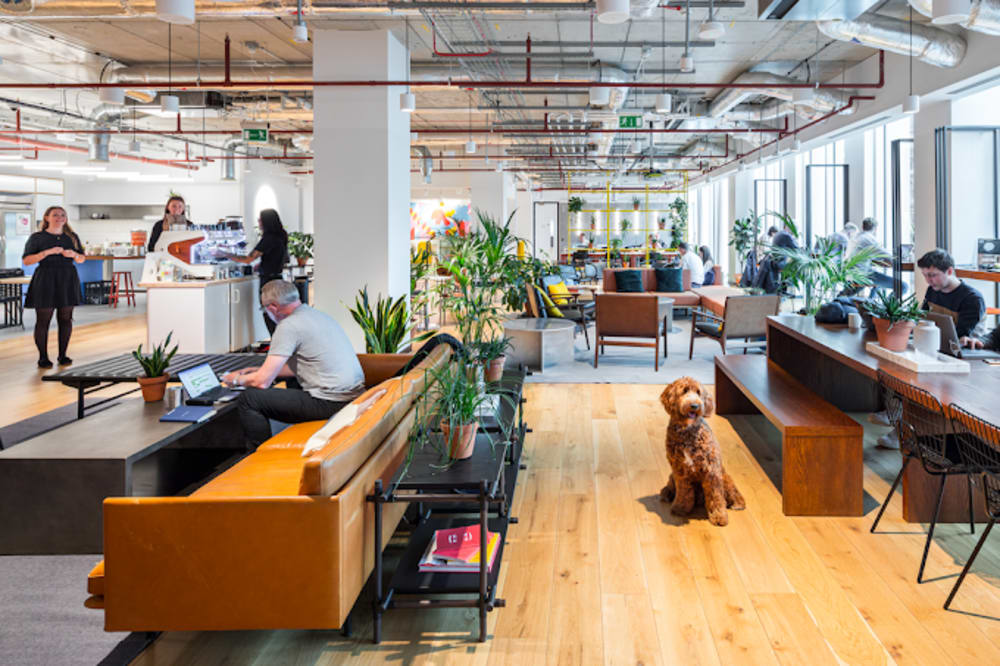 WeWork 1 St Peter's Square Manchester