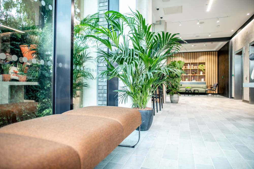 X+Why Limited London Chiswick Works