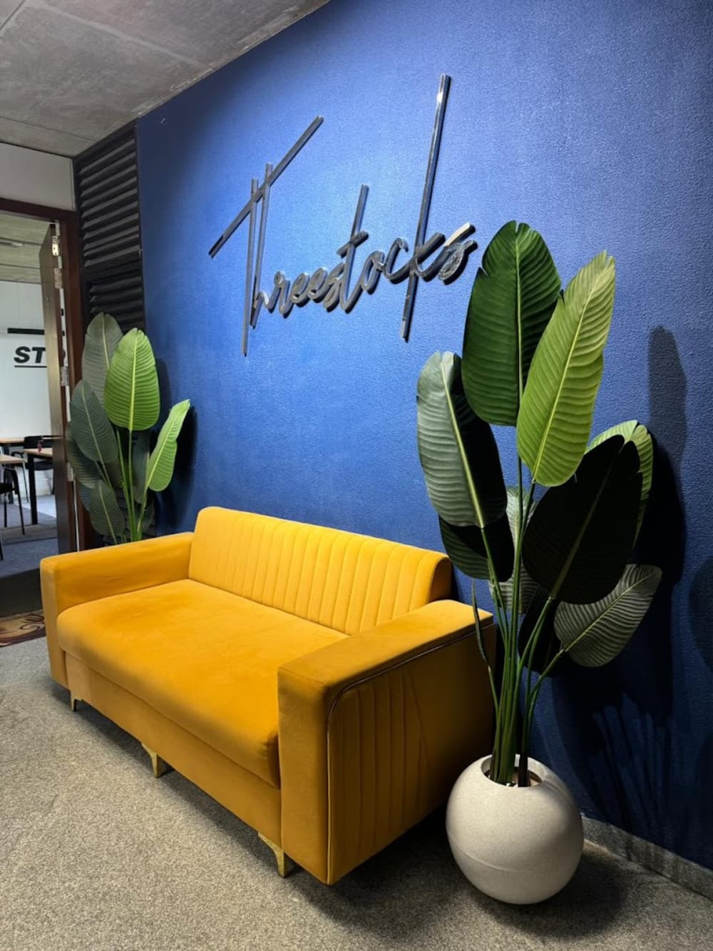 Nexus Spaces- Indore