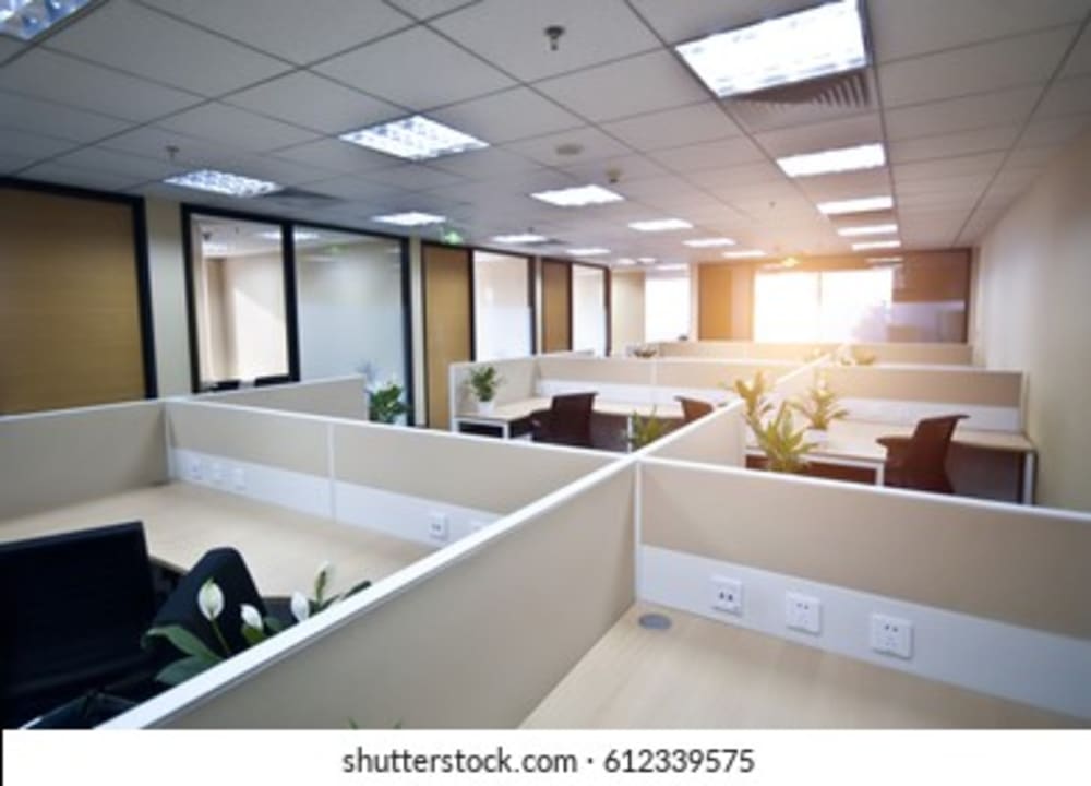 Dummy Business Account