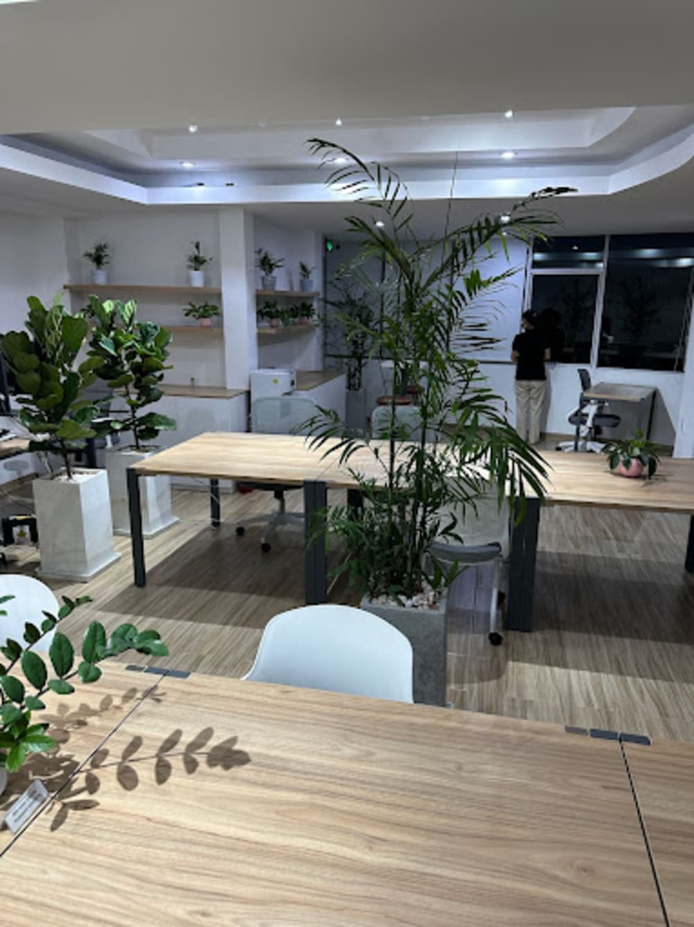 Chaulity Co-Working Space