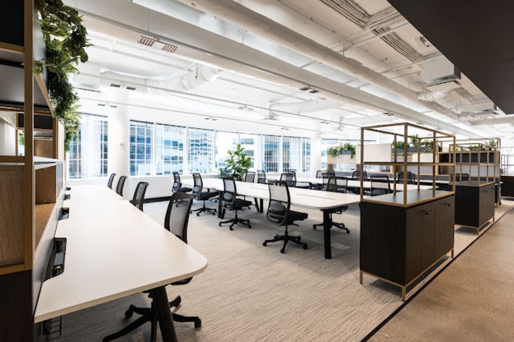 cirque by Centuria 9 Help Street