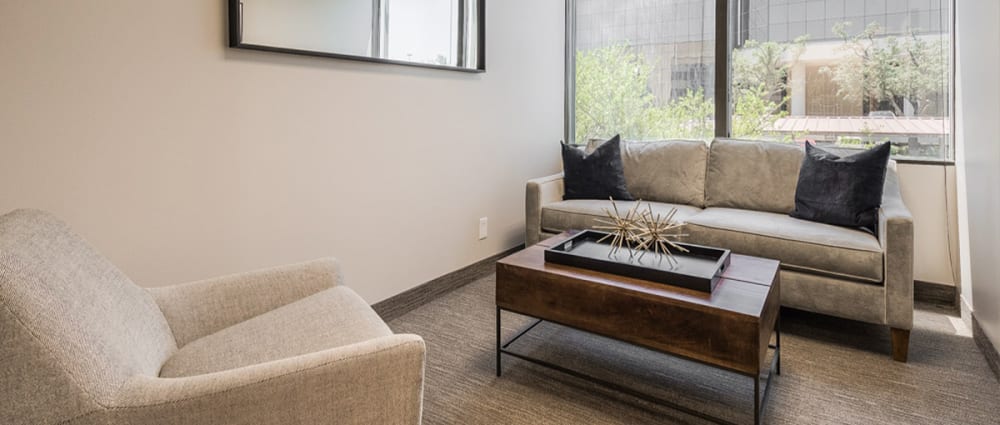 Therapy Space Dallas