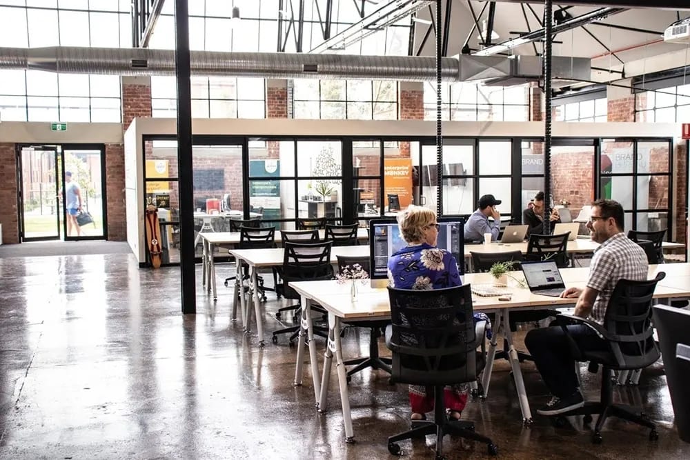 The Company Spot 33 Mackey Street