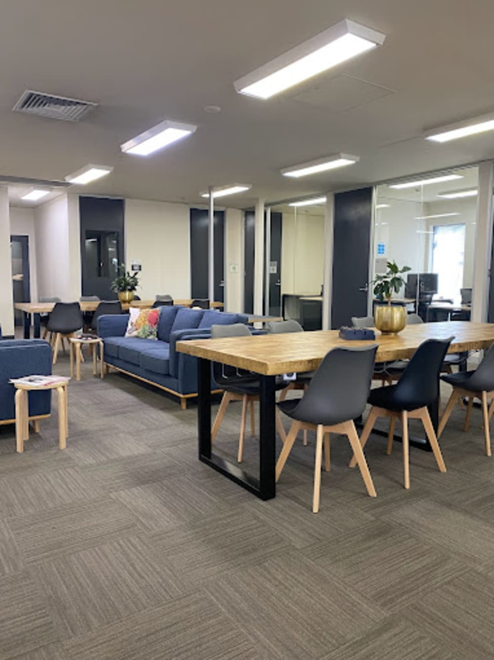 Platypus Coworking 51 Lydiard Street South