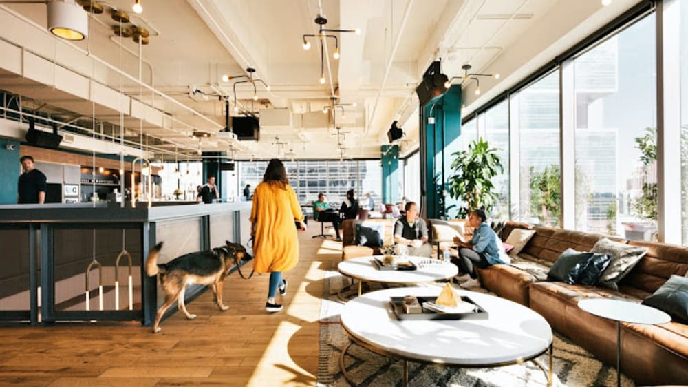 WeWork College St