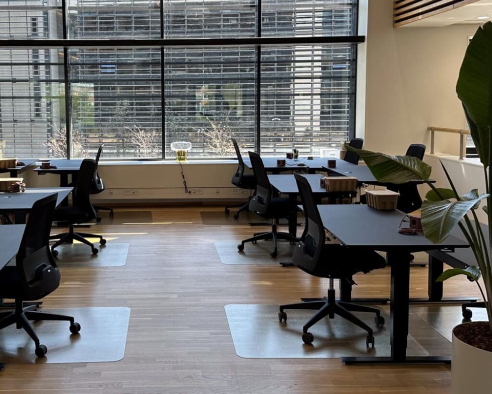 The Union Cortex Park 4