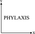 Another X-Axis Mirror Image
