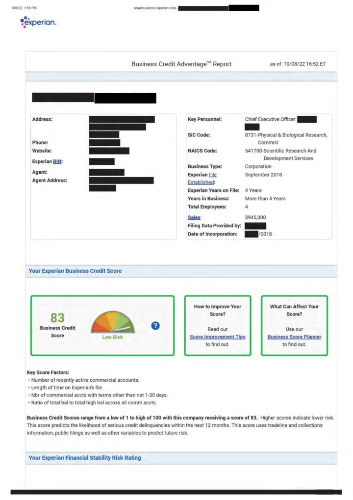 Experian Business report (sample, identifying details removed)