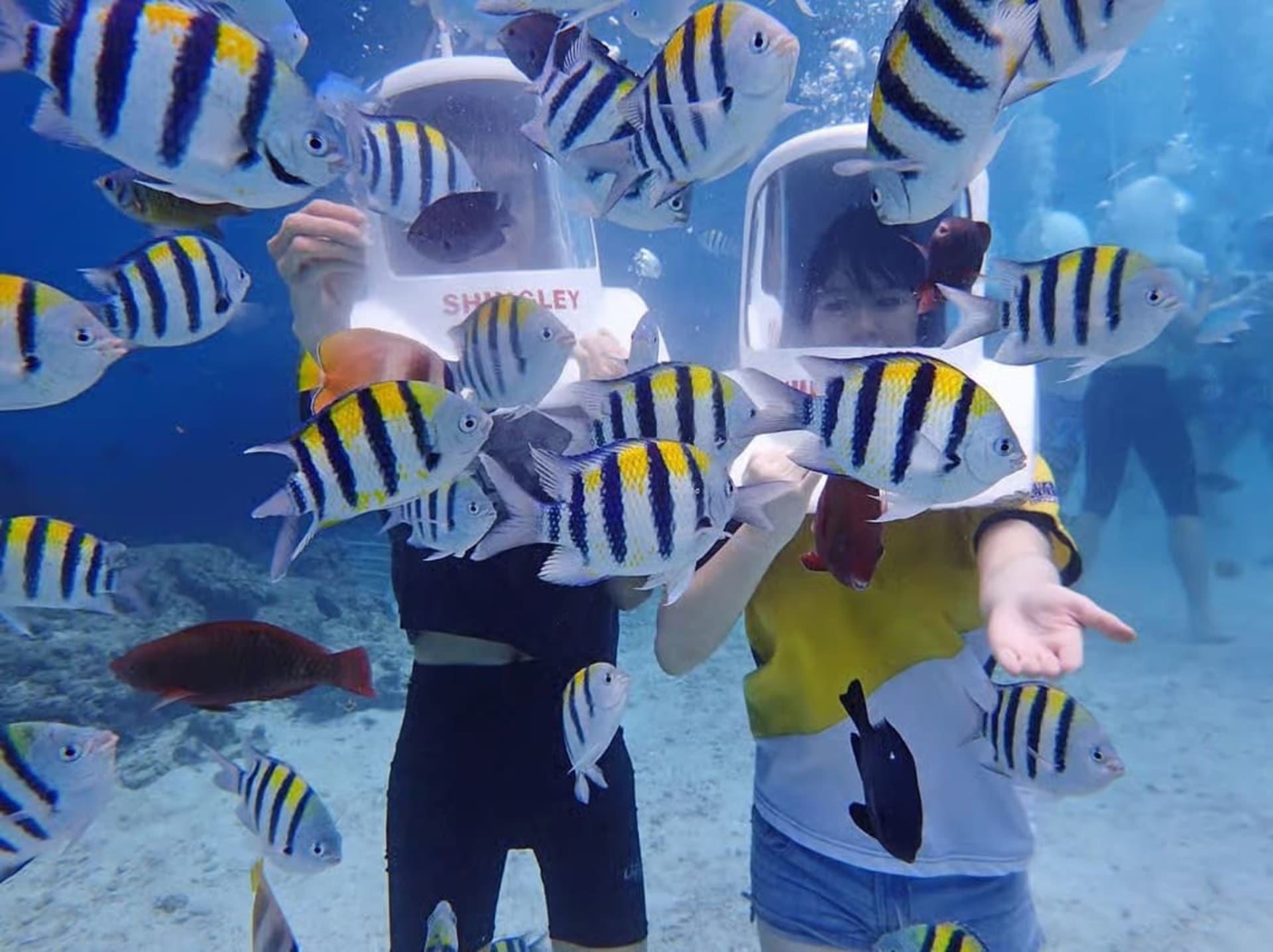 Aquanaut Adventure with Photos and Videos